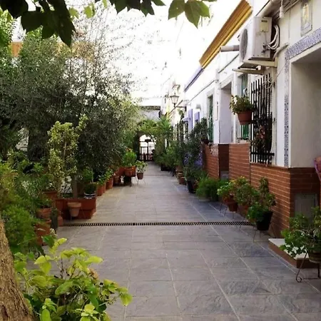 Tipico Y Pintoresco Patio De Vecinos, Con Encanto Siviglia