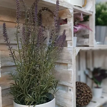 Tipico Y Pintoresco Patio De Vecinos, Con Encanto Διαμέρισμα Σεβίλλη