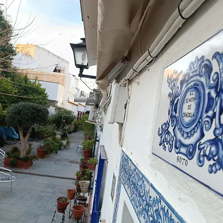 Tipico Y Pintoresco Patio De Vecinos, Con Encanto Διαμέρισμα *