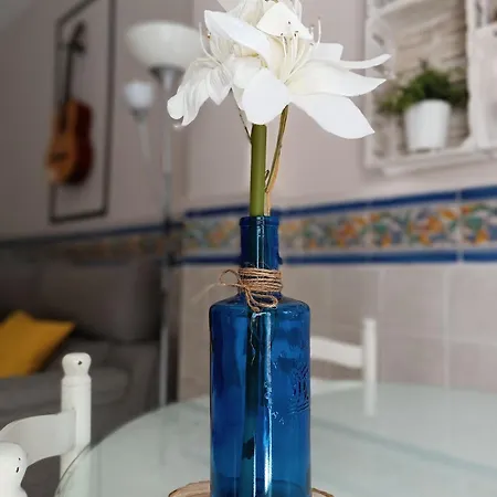Tipico Y Pintoresco Patio De Vecinos, Con Encanto Appartement *